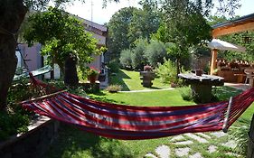Le Case Di Bacco