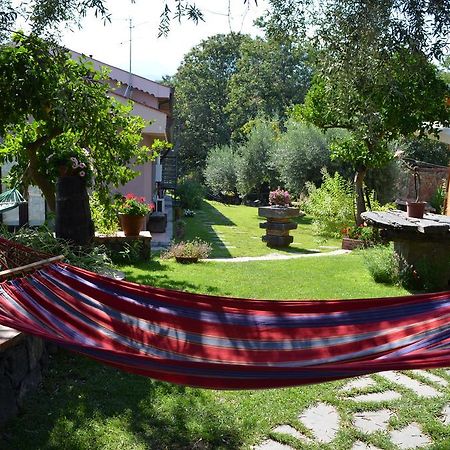 Le Case Di Bacco Santa Venerina Pokój zdjęcie